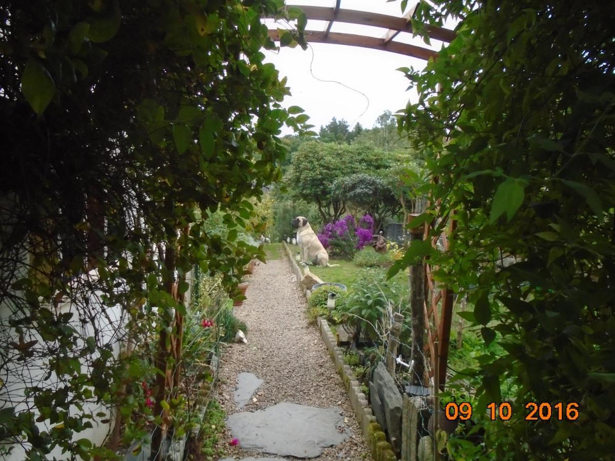 La Mare Aux Fees Bed & Breakfast Huelgoat Dış mekan fotoğraf