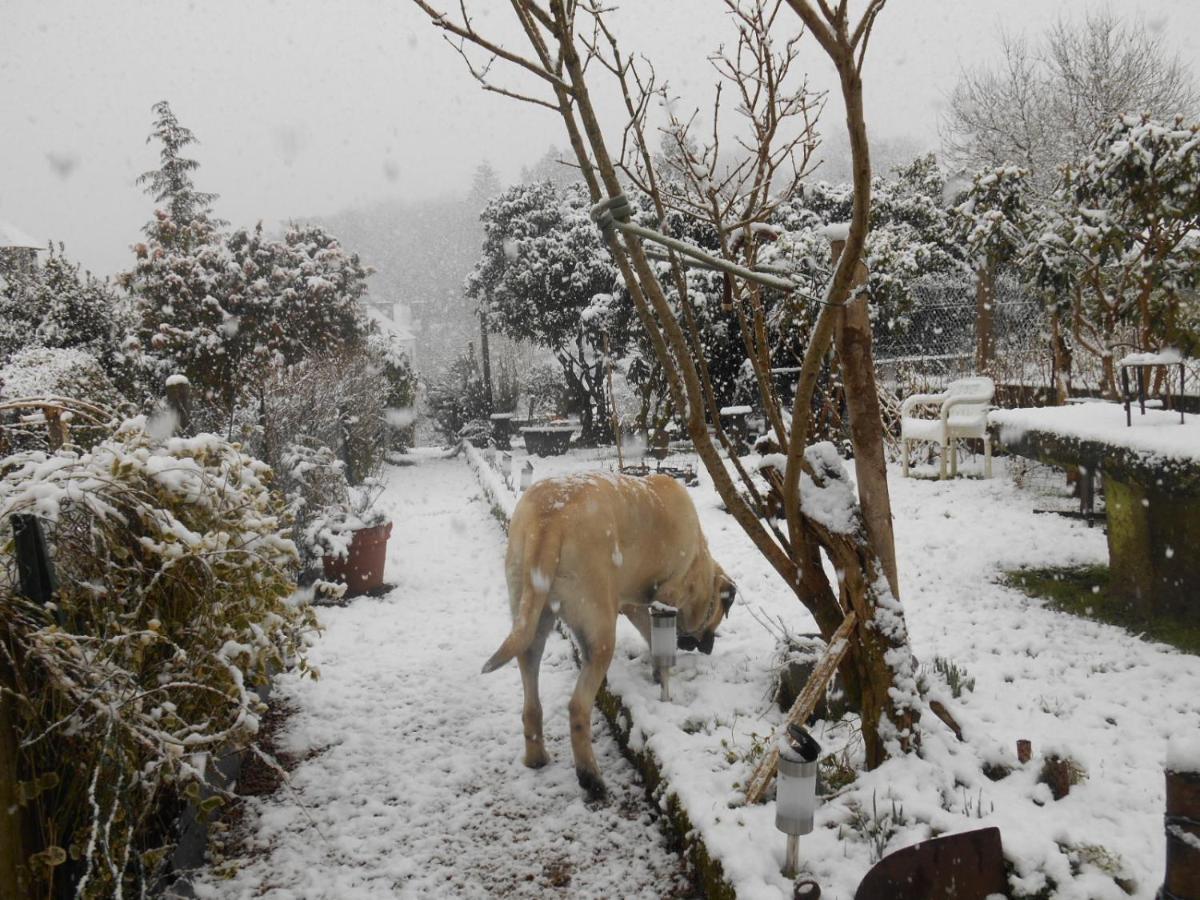 La Mare Aux Fees Bed & Breakfast Huelgoat Dış mekan fotoğraf