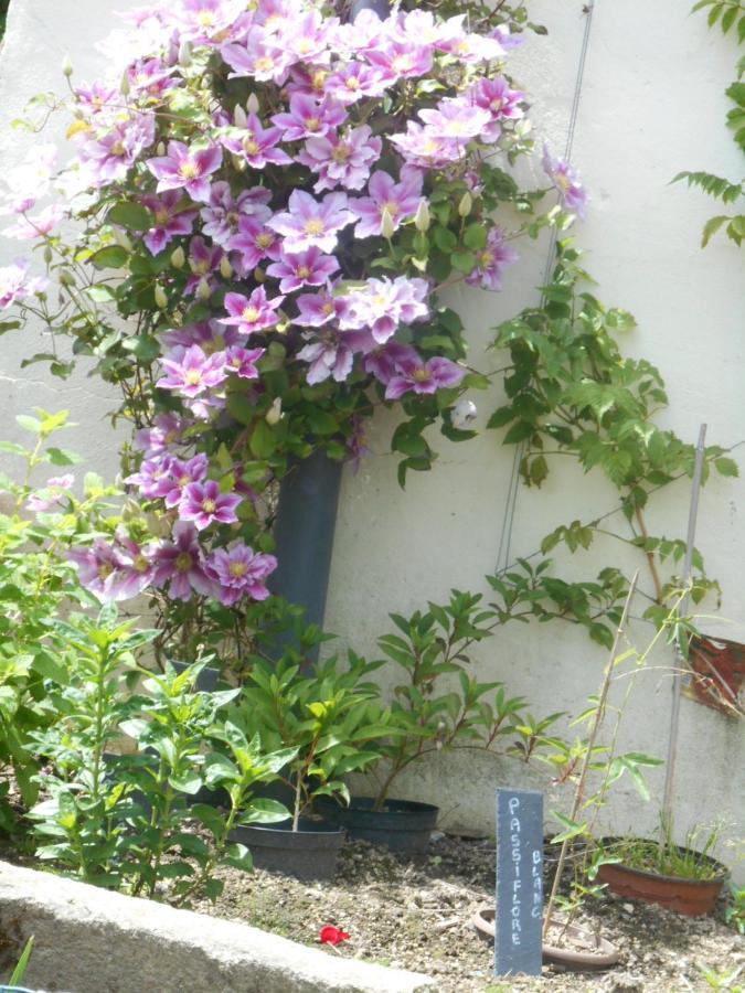 La Mare Aux Fees Bed & Breakfast Huelgoat Dış mekan fotoğraf